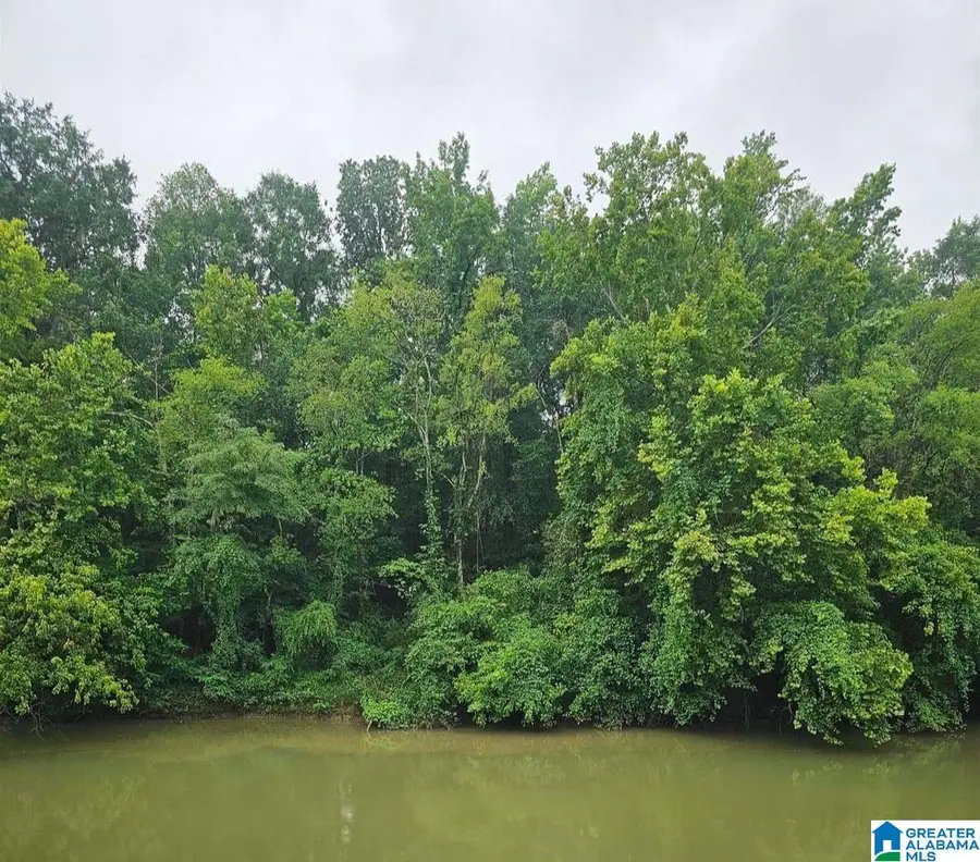 150 HARTS FERRY ROAD, Ohatchee, AL 36271 - #3