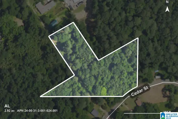 0 CEDAR STREET, Birmingham, AL 35210
