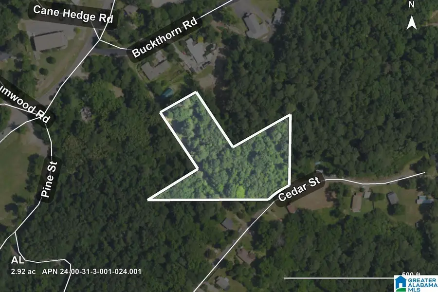 0 CEDAR STREET, Birmingham, AL 35210 - #2