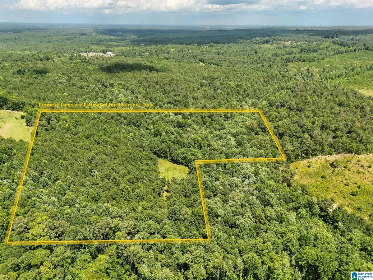 0 HIGHWAY 82, Maplesville, AL 36750 - #1