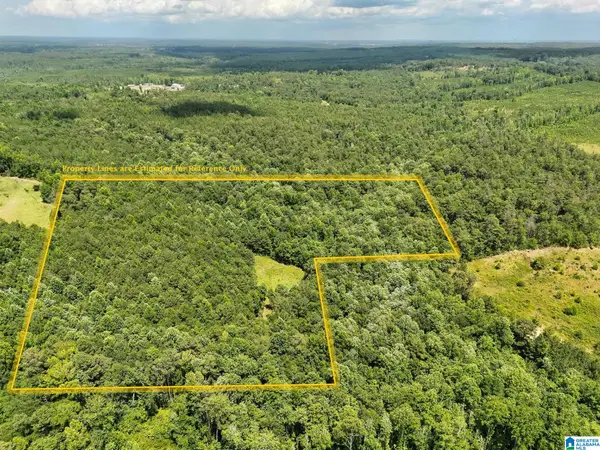0 HIGHWAY 82, Maplesville, AL 36750