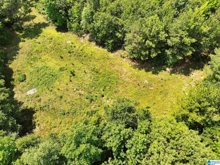 0 HIGHWAY 82, Maplesville, AL 36750 - #2