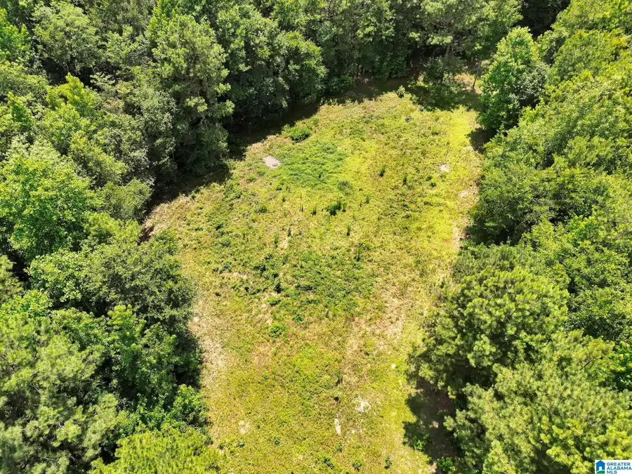 0 HIGHWAY 82, Maplesville, AL 36750 - #3