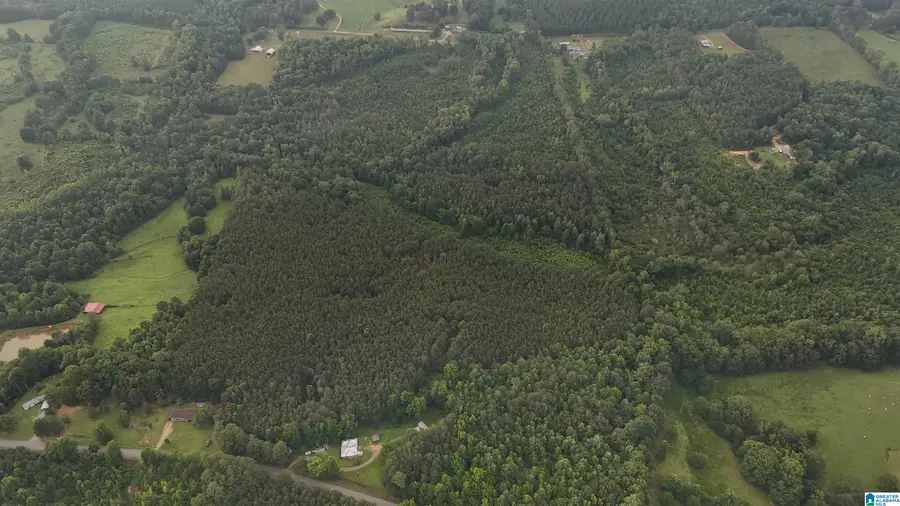 12482 COUNTY ROAD 19, Heflin, AL 36264 - #3