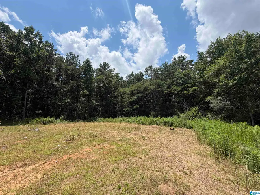 402 REED ROAD, Jasper, AL 35504 - #2