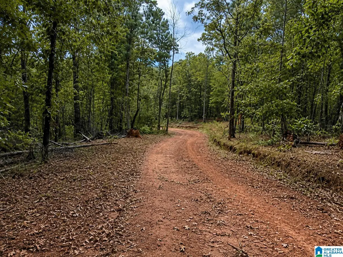 0 SMITH MILL ROAD, Delta, AL 36258 - #1