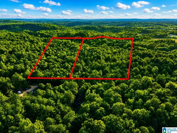Off of PENNY LANE, Odenville, AL 35120