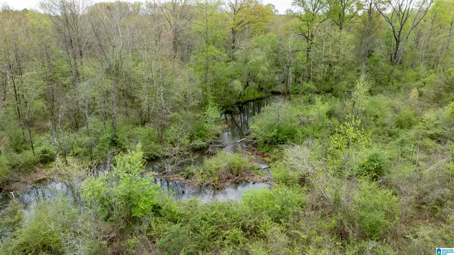 0 COUNTY ROAD 107, Montevallo, AL 35115 - #2