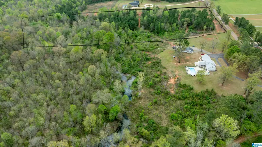 0 COUNTY ROAD 107, Montevallo, AL 35115 - #3