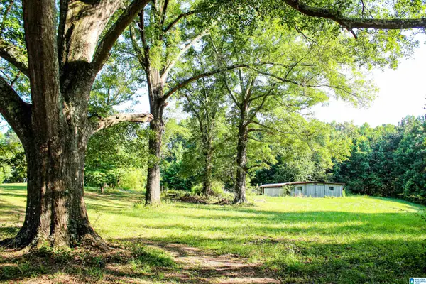 0 AARON ROAD, Jasper, AL 35501