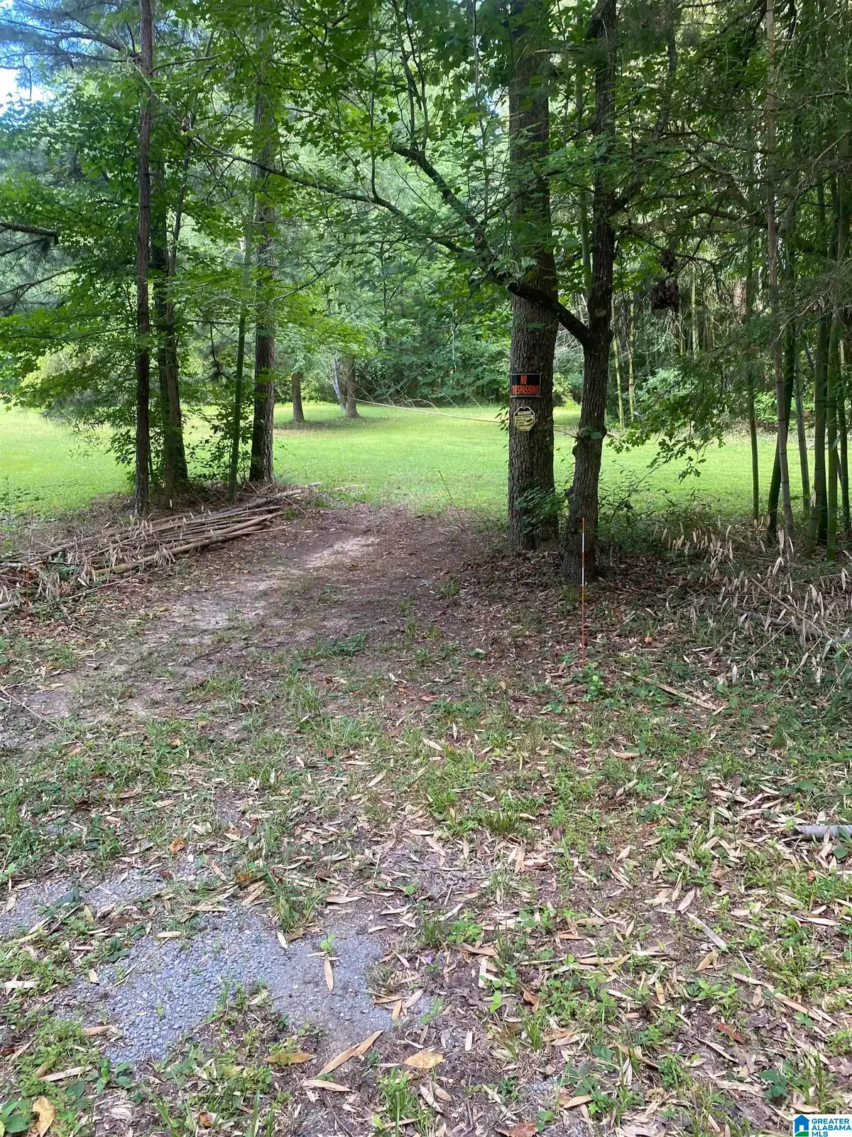0 EVERGREEN ROAD, Springville, AL 35146 - #1