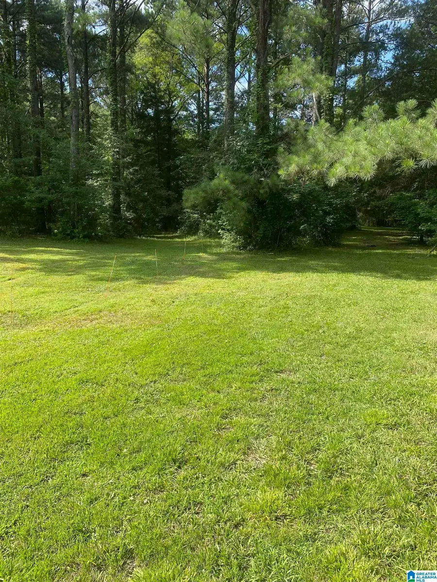 0 EVERGREEN ROAD, Springville, AL 35146 - #2