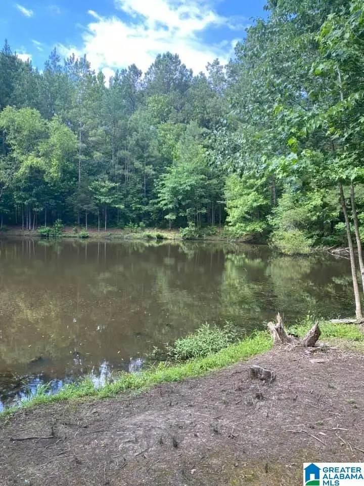 0 EVERGREEN ROAD, Springville, AL 35146 - #3