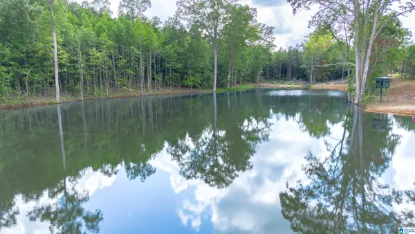 VINEYARD ROAD, Fruithurst, AL 36262