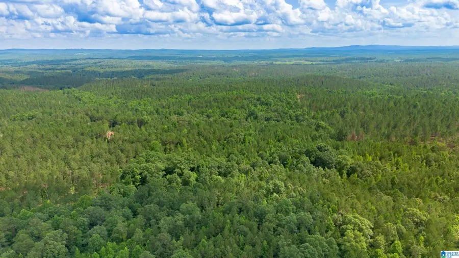 VINEYARD ROAD, Fruithurst, AL 36262 - #3