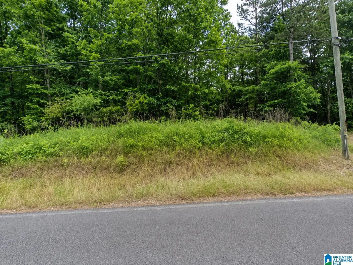 4750 KELLY CREEK ROAD, Odenville, AL 35120 - #1