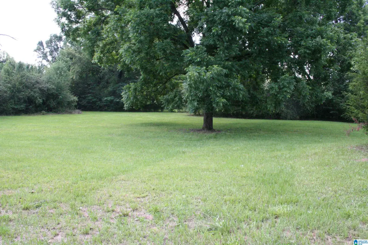 6096 WARRIOR RIVER ROAD, Bessemer, AL 35023 - #1
