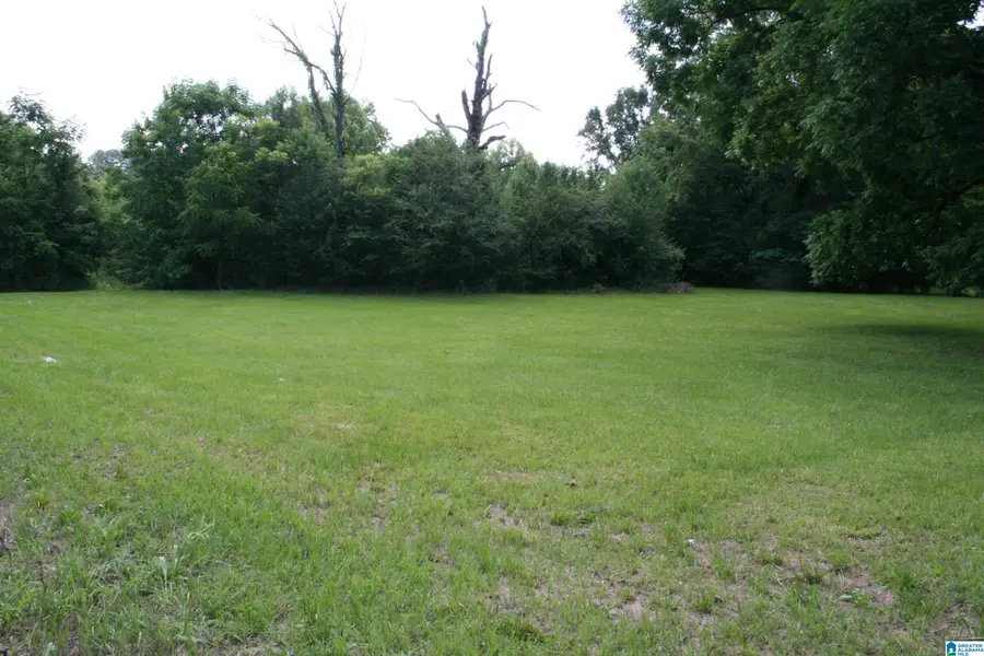 6096 WARRIOR RIVER ROAD, Bessemer, AL 35023 - #2