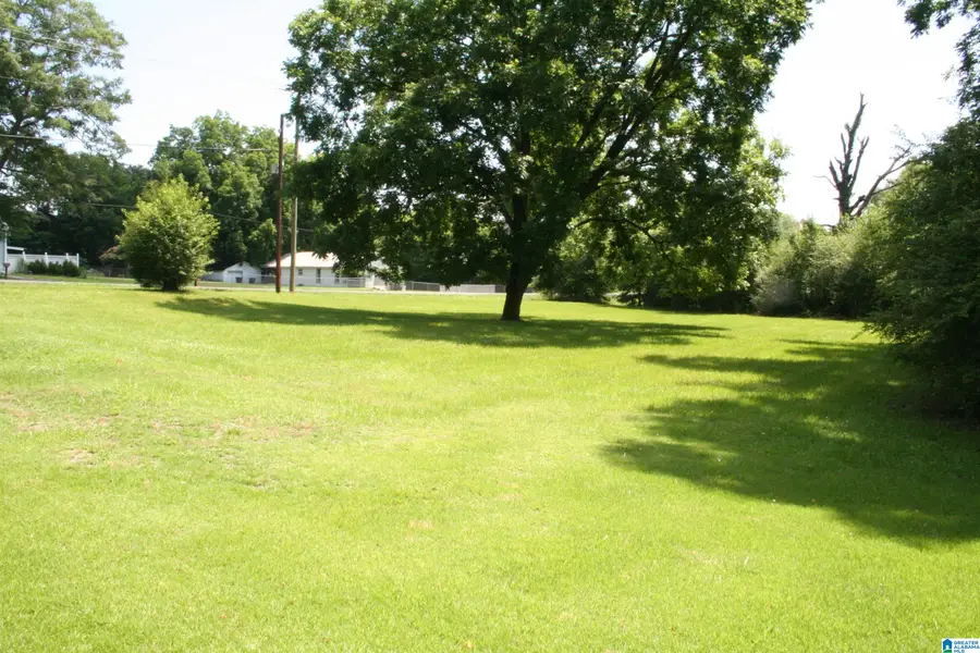 6096 WARRIOR RIVER ROAD, Bessemer, AL 35023 - #3