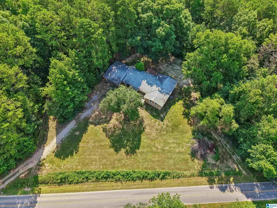4363 COUNTY ROAD 5, Sylacauga, AL 35151 - #3
