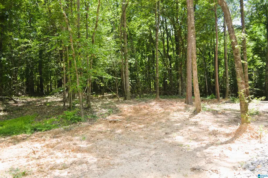 1279 RIVERSIDE DRIVE, Berry, AL 35546 - #2