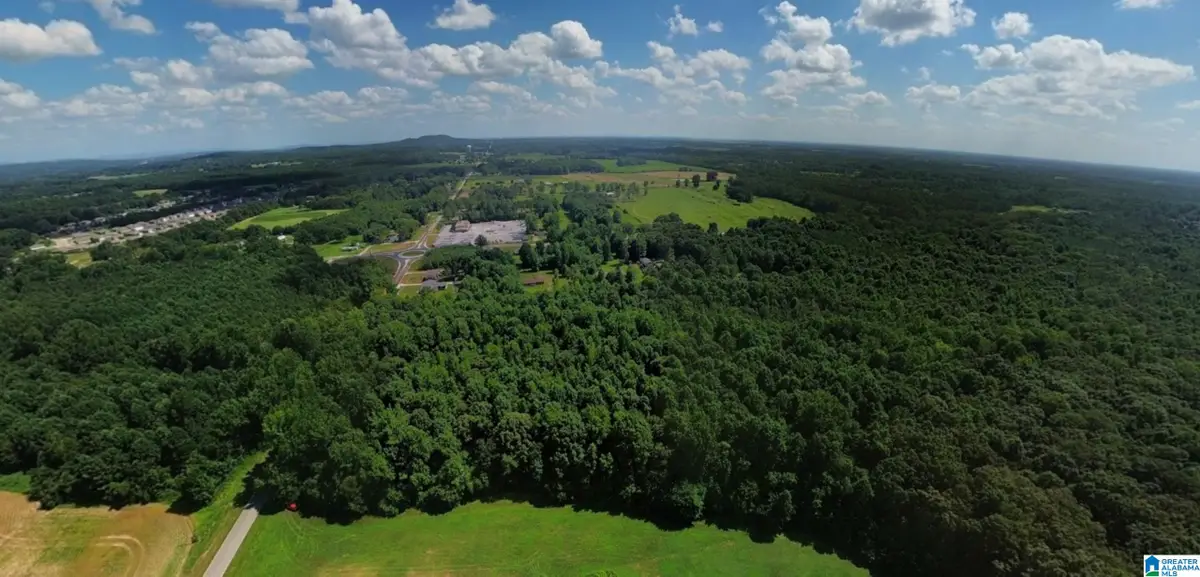 9914 WALL TRIANA HIGHWAY, Toney, AL 35773 - #1