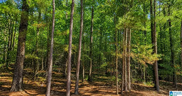 0 DALE DRIVE, Mccalla, AL 35111
