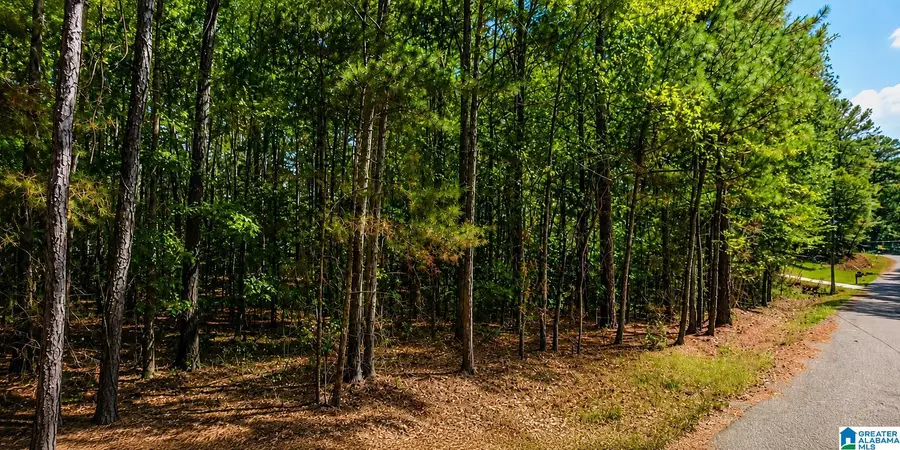 0 DALE DRIVE, McCalla, AL 35111 - #3