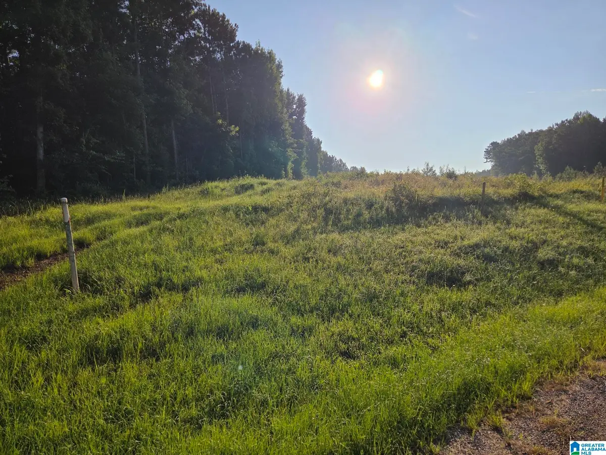 COUNTY ROAD 520, Verbena, AL 36091 - #1