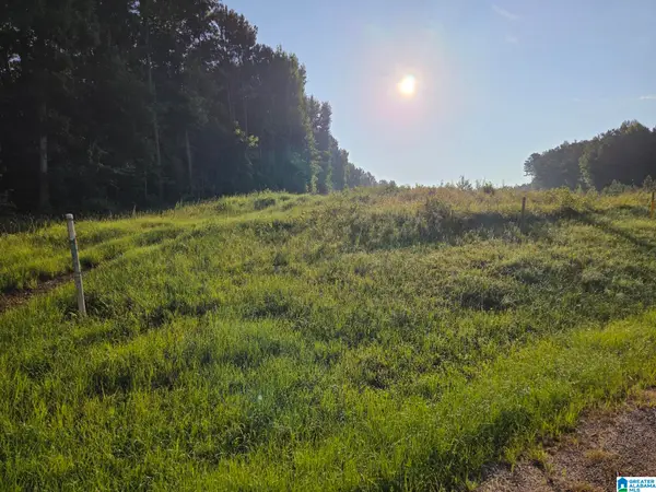COUNTY ROAD 520, Verbena, AL 36091