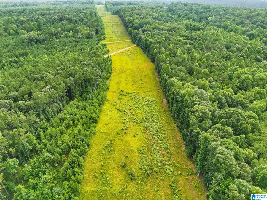 COUNTY ROAD 520, Verbena, AL 36091 - #3