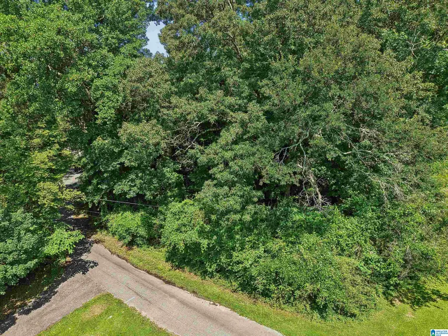 64 BUSHWOOD ROAD, Irondale, AL 35210 - #2