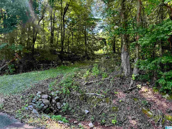 731 MERRELLTON ROAD, Jacksonville, AL 36265