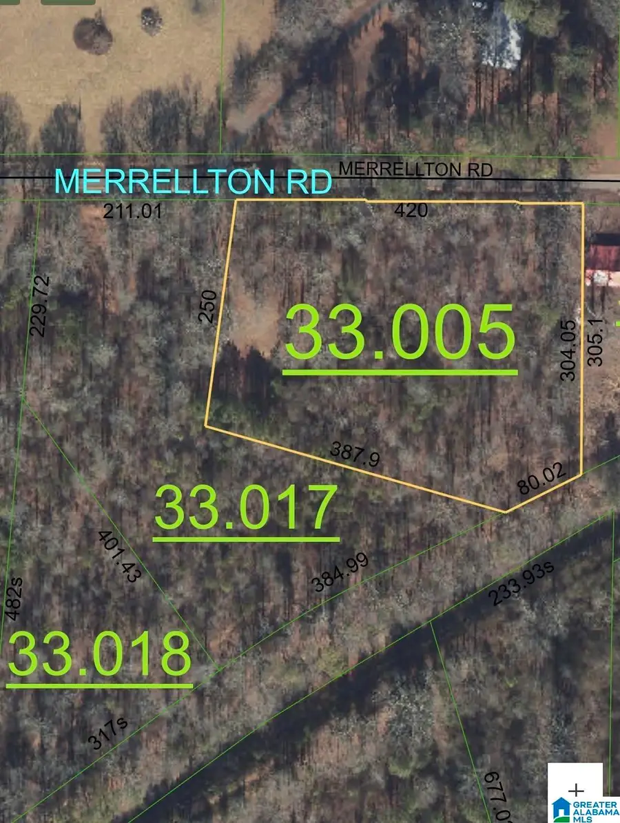 731 MERRELLTON ROAD, Jacksonville, AL 36265 - #2