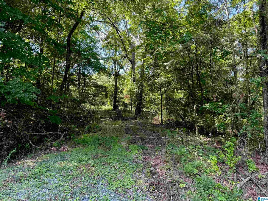 731 MERRELLTON ROAD, Jacksonville, AL 36265 - #3