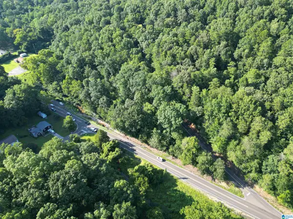3101 SWEENEY HOLLOW ROAD, Birmingham, AL 35215
