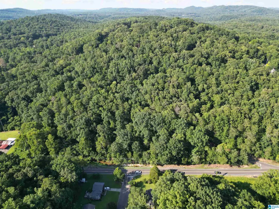 3101 SWEENEY HOLLOW ROAD, Birmingham, AL 35215 - #3