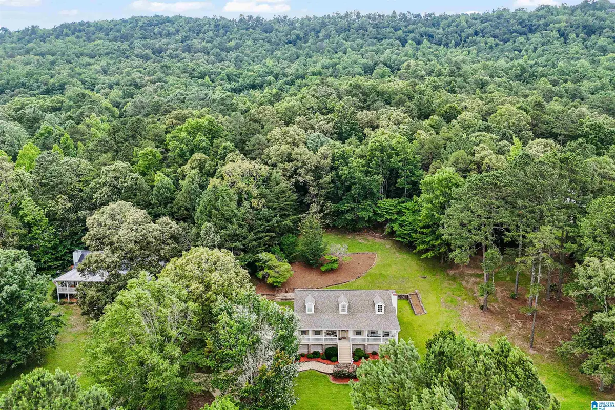 155 OAK GROVE ROAD, Springville, AL 35146 - #1