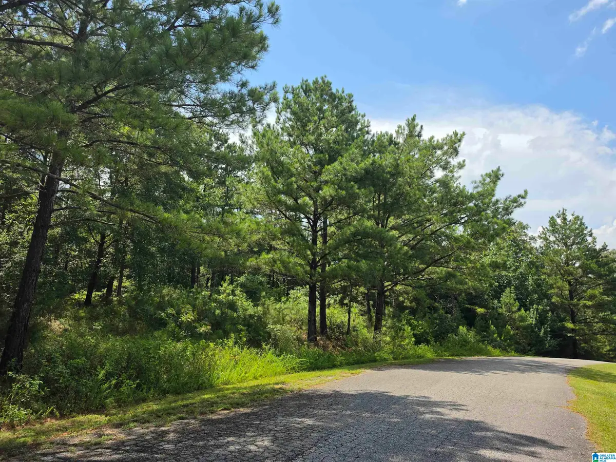 HICKORY HILL ROAD, Centreville, AL 35042 - #1