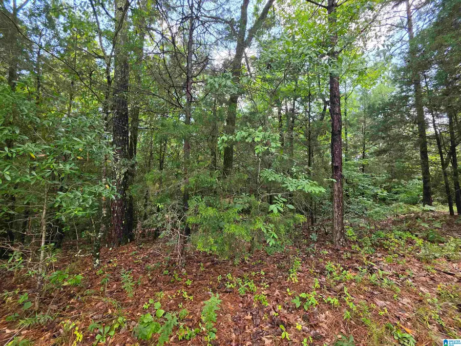 HICKORY HILL ROAD, Centreville, AL 35042 - #2