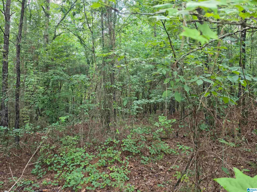HICKORY HILL ROAD, Centreville, AL 35042 - #3