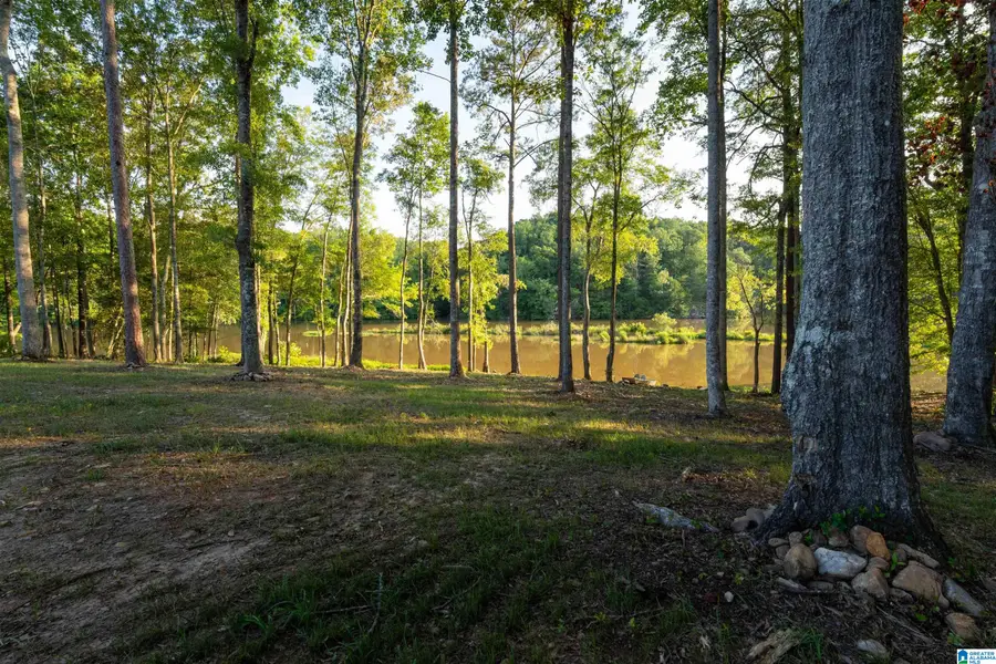 396 COUNTY ROAD 499, Woodland, AL 36280 - #2