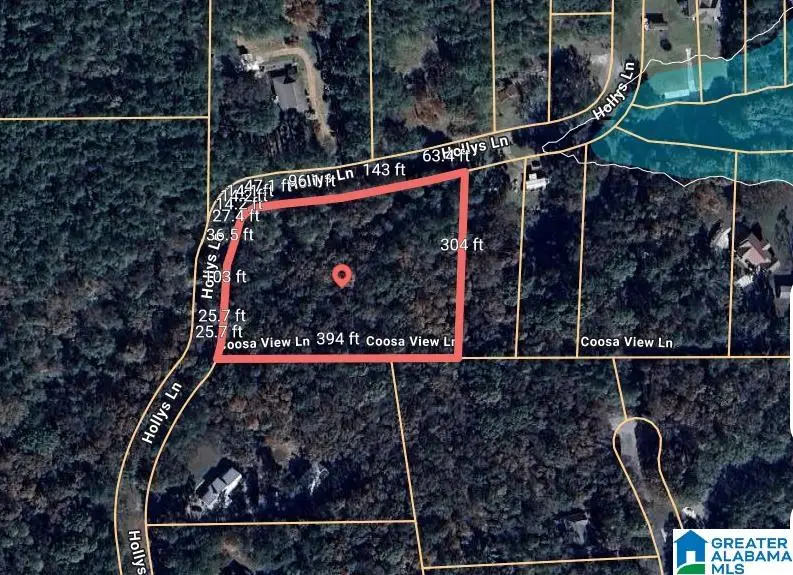 45 COOSA VIEW LANE, Riverside, AL 35135 - #1