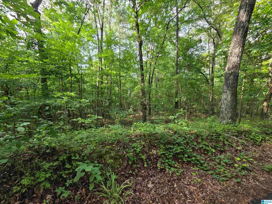 45 COOSA VIEW LANE, Riverside, AL 35135 - #2