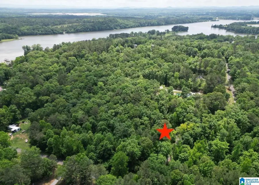 45 COOSA VIEW LANE, Riverside, AL 35135 - #3