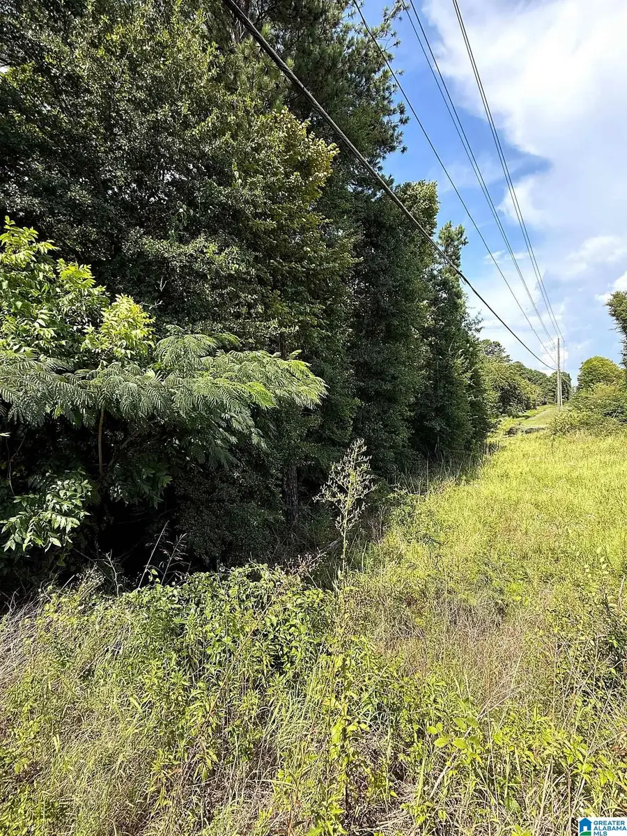 0 HIGHWAY 78, Riverside, AL 35953 - #2
