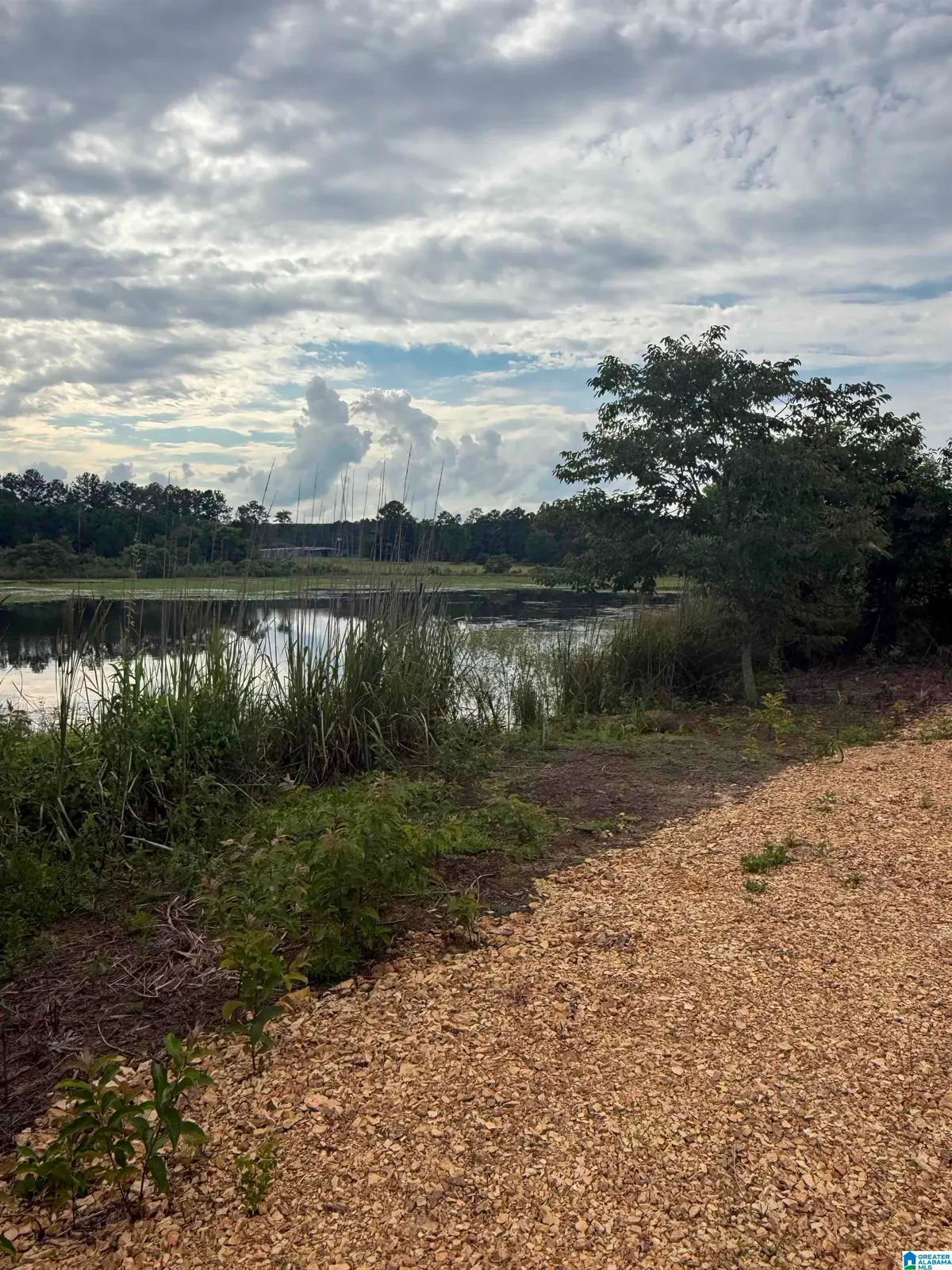0 COUNTY ROAD 26, Ashville, AL 35953 - #1