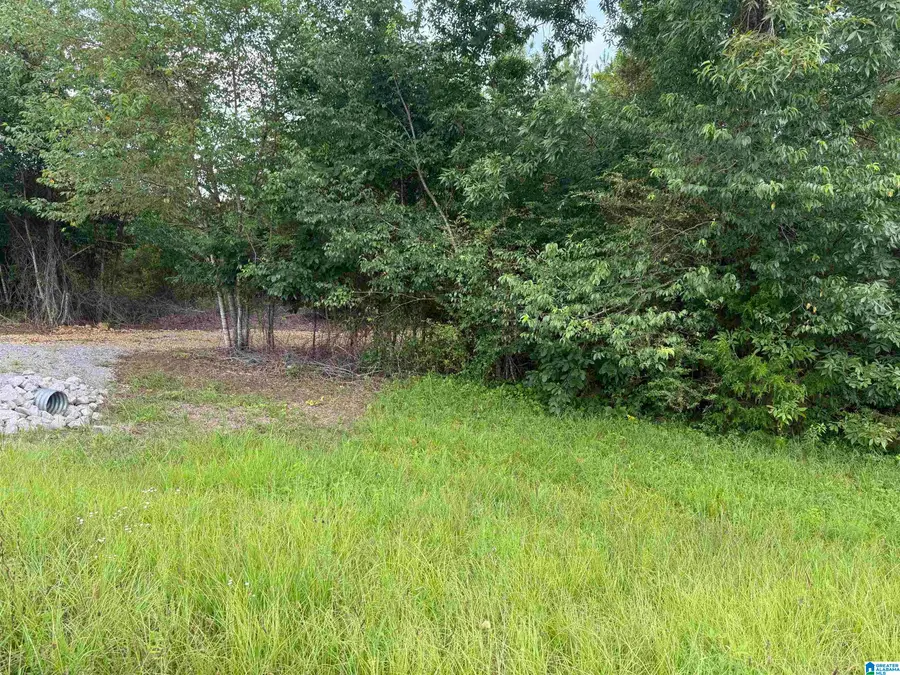 0 COUNTY ROAD 26, Ashville, AL 35953 - #2