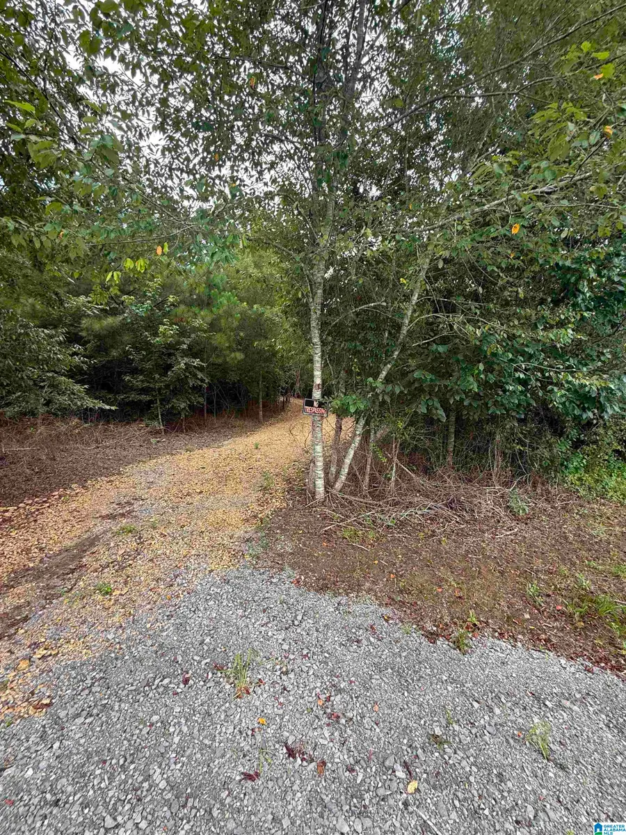 0 COUNTY ROAD 26, Ashville, AL 35953 - #3
