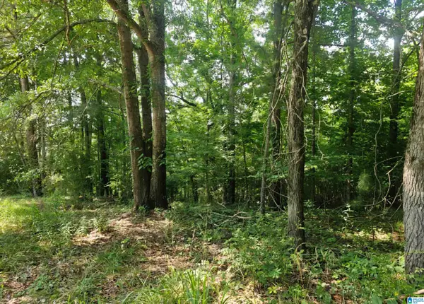 275 MILLER STREET, Margaret, AL 35120